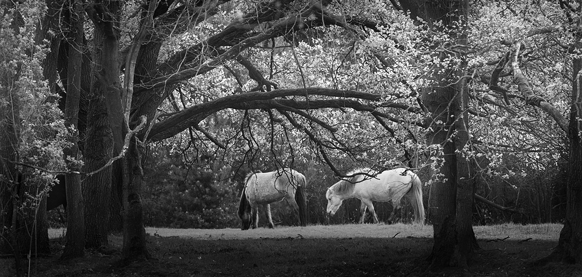 A053_C024_0101Z3 BW A053_C024_0101Z3 BW